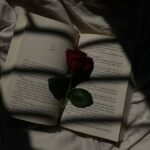بوستات منوعه خش وشوف بنفسك البار مشترك 1