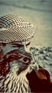 مصر 28