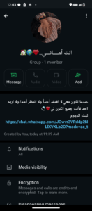 مصر 29