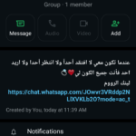 مصر 29