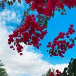 سوالف 5
