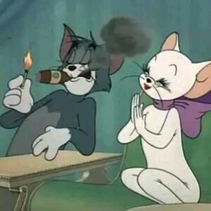 الشله التافهه رزق 1