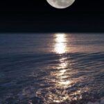 قـد نـغيب ولگـن تبقـى آلحكآيہ  3