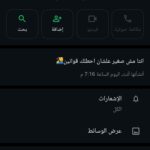 مصر 58