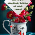 سلطنة عمان مسقط 1