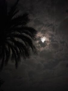 الاهلي