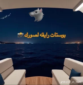 مصر 74