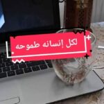 من بيتك إلى القمة 3