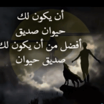 صـــــورواعـــــــــــبر