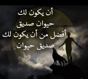 صـــــورواعـــــــــــبر