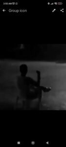 مملكة الحزنKingdom of Sad 1