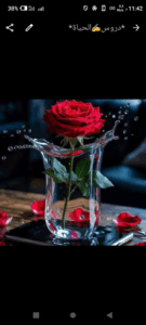 دروس الحياة 1