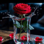 دروس الحياة 1
