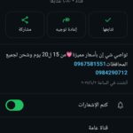 شي ان الرسمية 1