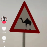 مرخه 1