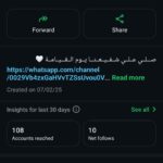 ميميز 1