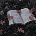 عالم الكتب والروايات 1