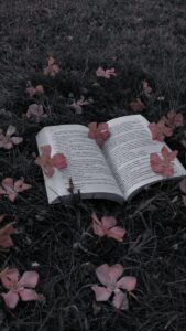 عالم الكتب والروايات 1