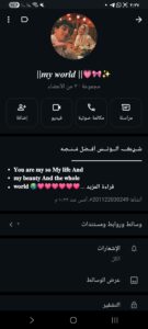 روم تشاينل 1