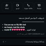 روم تشاينل 1