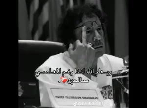 تعال مش هتخسر حاجه 1