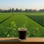 فرفشة كايرو Farfasha Cairo 3