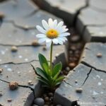 حوارات كلاسيك 1
