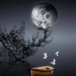 ملوك الإبداع 1