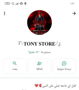 مصر 117