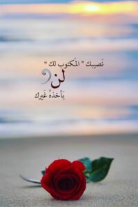 تعارف 33