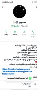 ش العشرين 2