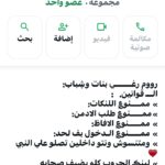 ش العشرين 2