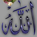 المملكه الصحاب 1