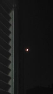 مصر 111
