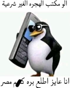 جروب محبين الجبنه العبور لاند وعيش التموين 1