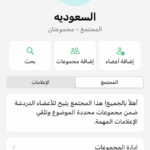 السعوديه 6