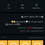 الاسكندريه 4