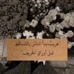 هـــــمــــســات قــلــم