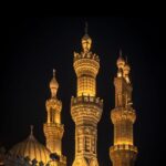 يانفسي توبي 1