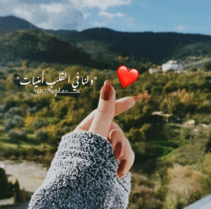 مصر 119