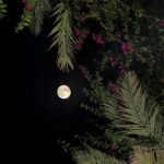 خلفيات 1