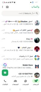 شادو 1