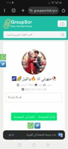 احمد الفنان 1