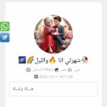 احمد الفنان 1