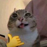بـــــــآر آلرغـــــــي