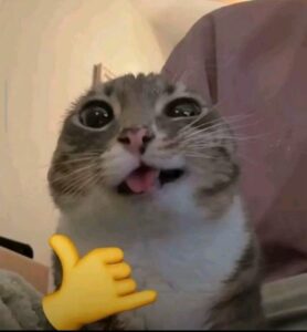 بـــــــآر آلرغـــــــي