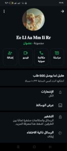 مصر 133