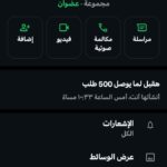 مصر 133