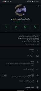 مصر 129