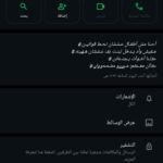 مصر 129